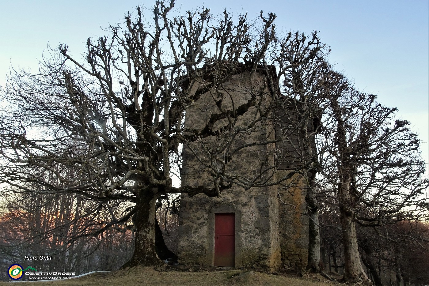 84  Architettura di piante al 'Rocol di Spadi'.JPG